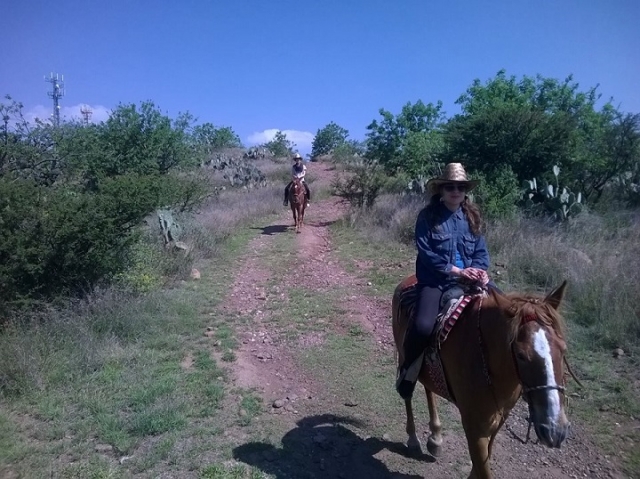  passeggiate a cavallo in sma 